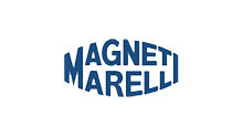 MAGNETARELL[副本]