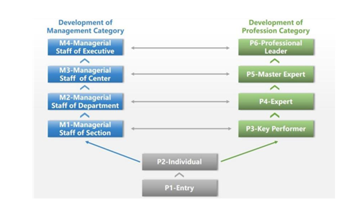 Learn and Develop
